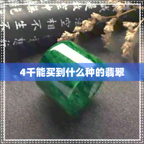 4千能买到什么种的翡翠