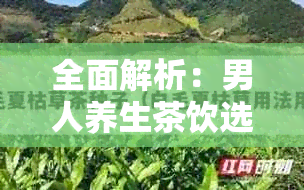 全面解析：男人养生茶饮选择与功效，哪种茶最适合男性健？