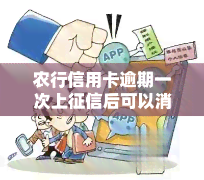 农行信用卡逾期一次上后可以消卡吗？安全吗？