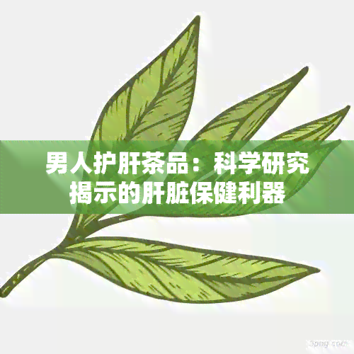 男人护肝茶品：科学研究揭示的肝脏保健利器