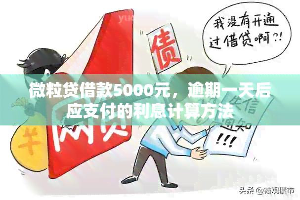 微粒贷借款5000元，逾期一天后应支付的利息计算方法