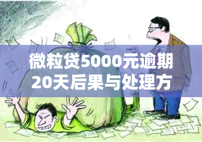 微粒贷5000元逾期20天后果与处理方式