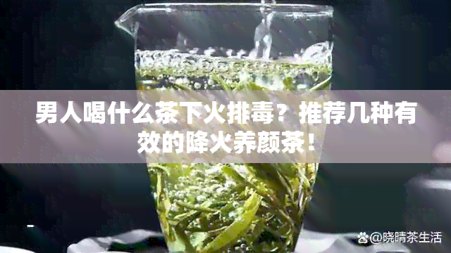 男人喝什么茶下火排？推荐几种有效的降火养颜茶！