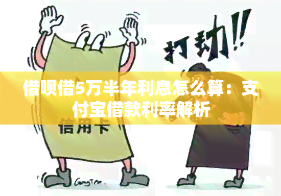 借呗借5万半年利息怎么算：支付宝借款利率解析