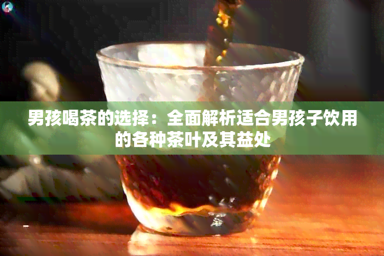 男孩喝茶的选择：全面解析适合男孩子饮用的各种茶叶及其益处