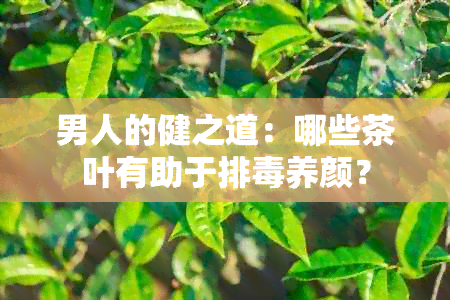 男人的健之道：哪些茶叶有助于排养颜？