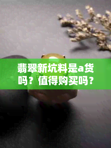 翡翠新坑料是a货吗？值得购买吗？会变种吗？和老坑料的价格比较如何？