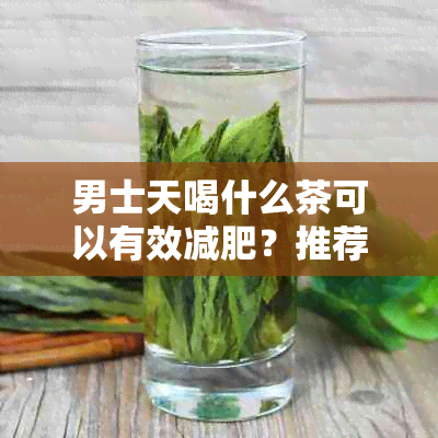 男士天喝什么茶可以有效减肥？推荐几种适合的茶叶和饮用方法