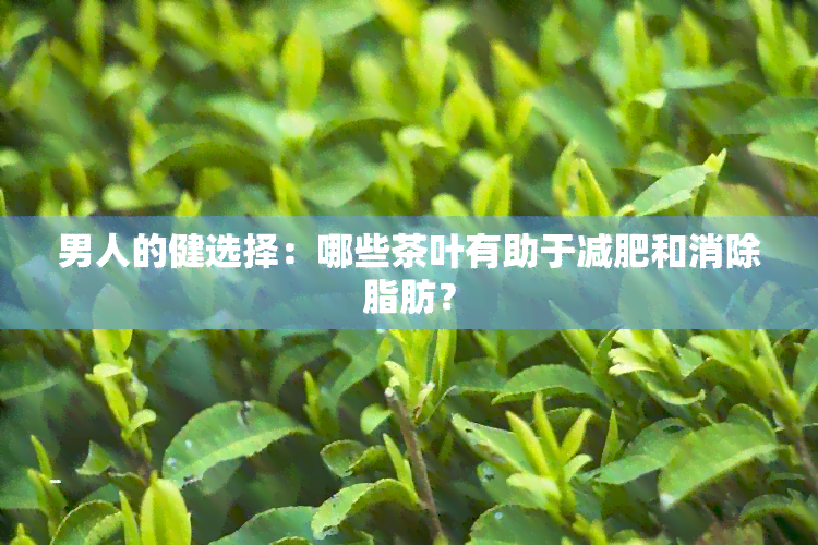 男人的健选择：哪些茶叶有助于减肥和消除脂肪？