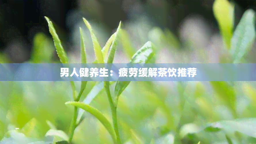 男人健养生：疲劳缓解茶饮推荐