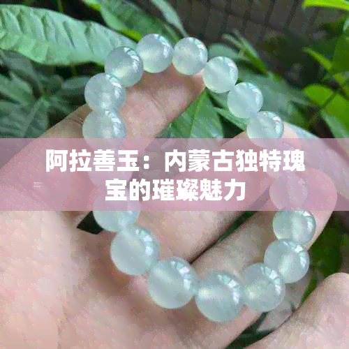 阿拉善玉：内蒙古独特瑰宝的璀璨魅力