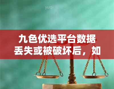 九色优选平台数据丢失或被破坏后，如何进行数据恢复和修复？