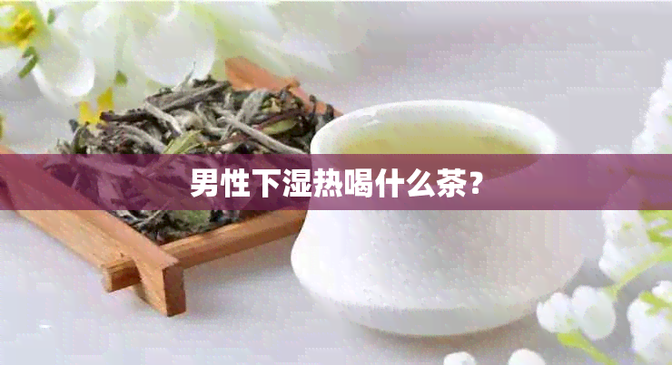 男性下湿热喝什么茶？