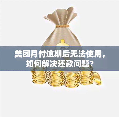 美团月付逾期后无法使用，如何解决还款问题？