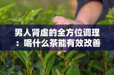 男人肾虚的全方位调理：喝什么茶能有效改善症状？