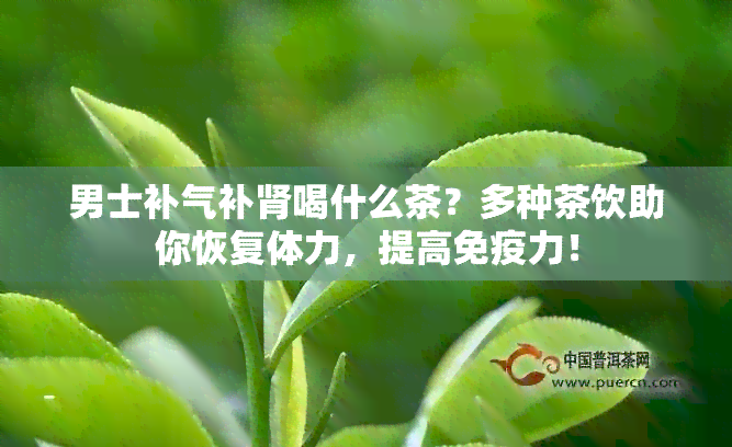 男士补气补肾喝什么茶？多种茶饮助你恢复体力，提高免疫力！