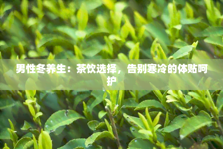 男性冬养生：茶饮选择，告别寒冷的体贴呵护