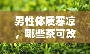 男性体质寒凉，哪些茶可改善健？医生推荐的理想茶饮一览