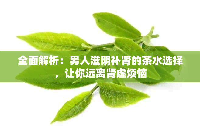 全面解析：男人滋阴补肾的茶水选择，让你远离肾虚烦恼