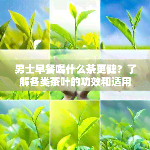 男士早餐喝什么茶更健？了解各类茶叶的功效和适用场景