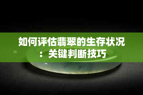 如何评估翡翠的生存状况：关键判断技巧