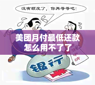 美团月付更低还款怎么用不了了