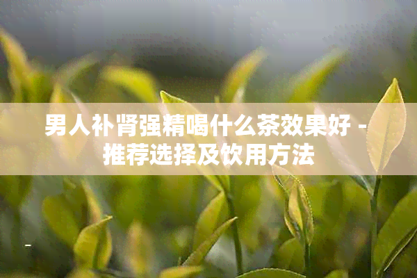 男人补肾强精喝什么茶效果好 - 推荐选择及饮用方法