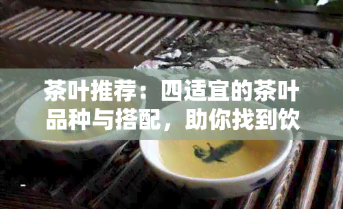 茶叶推荐：四适宜的茶叶品种与搭配，助你找到饮茶节