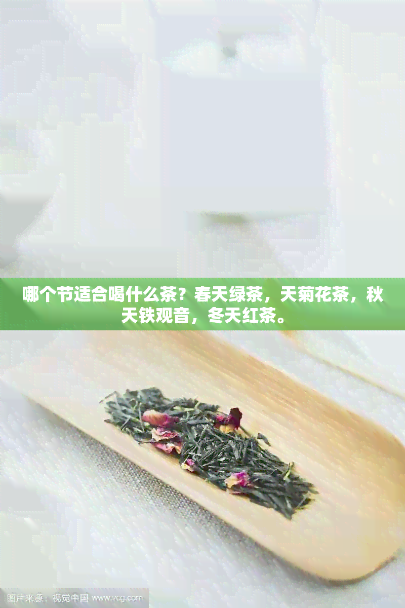 哪个节适合喝什么茶？春天绿茶，天菊花茶，秋天铁观音，冬天红茶。