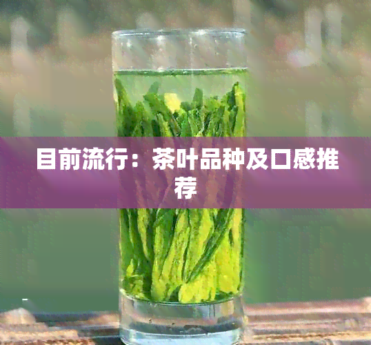 目前流行：茶叶品种及口感推荐