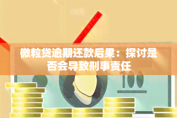 微粒贷逾期还款后果：探讨是否会导致刑事责任