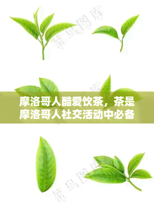 摩洛哥人酷爱饮茶，茶是摩洛哥人社交活动中必备的饮料