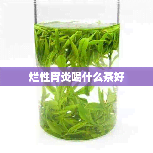 烂性胃炎喝什么茶好