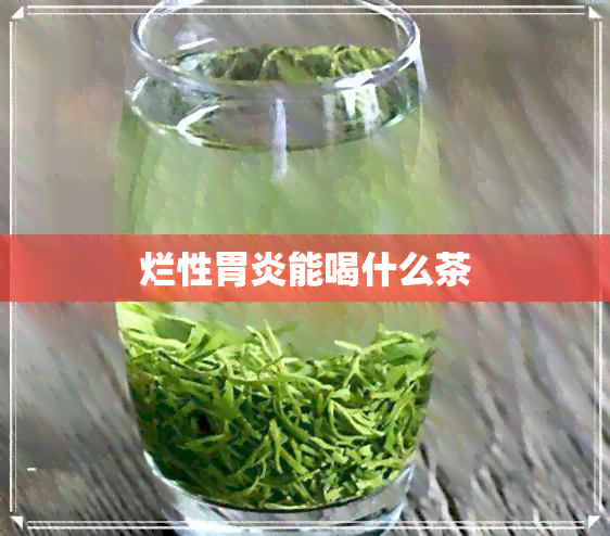 烂性胃炎能喝什么茶