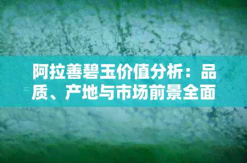 阿拉善碧玉价值分析：品质、产地与市场前景全面解析