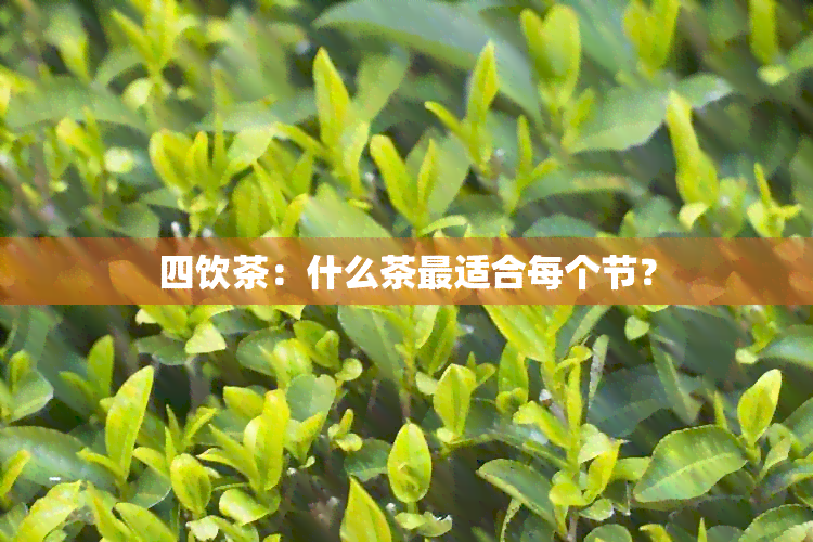 四饮茶：什么茶最适合每个节？