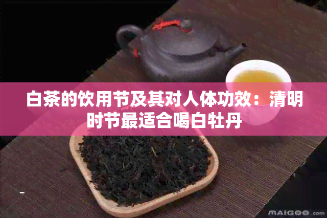 白茶的饮用节及其对人体功效：清明时节最适合喝白牡丹