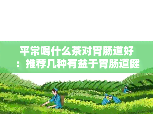 平常喝什么茶对胃肠道好：推荐几种有益于胃肠道健的茶。