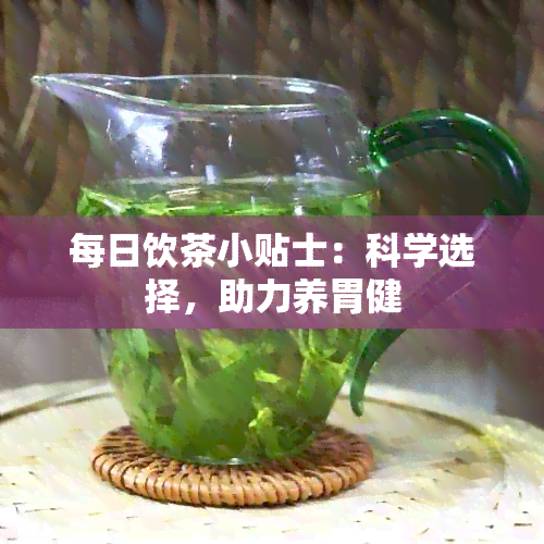 每日饮茶小贴士：科学选择，助力养胃健