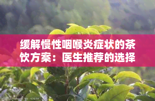 缓解慢性咽喉炎症状的茶饮方案：医生推荐的选择