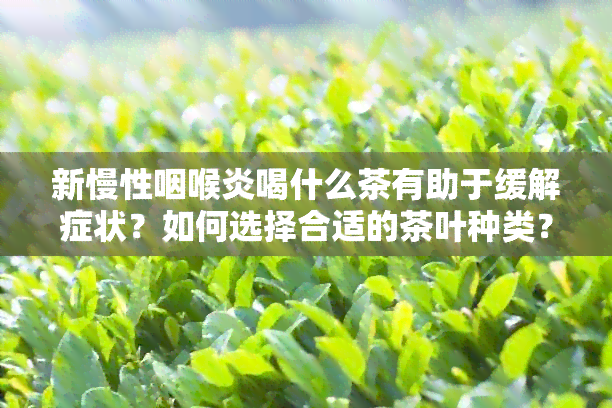 新慢性咽喉炎喝什么茶有助于缓解症状？如何选择合适的茶叶种类？