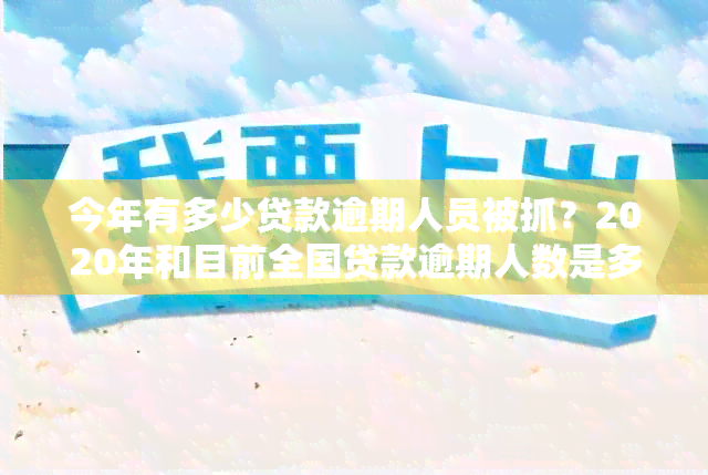 今年有多少贷款逾期人员被抓？2020年和目前全国贷款逾期人数是多少？