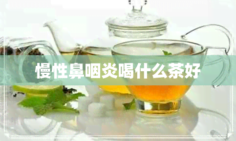 慢性鼻咽炎喝什么茶好