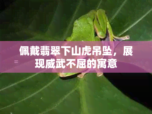 佩戴翡翠下山虎吊坠，展现威武不屈的寓意