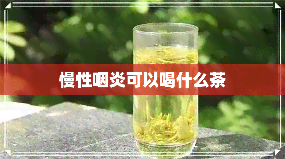 慢性咽炎可以喝什么茶