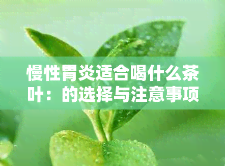 慢性胃炎适合喝什么茶叶：的选择与注意事项