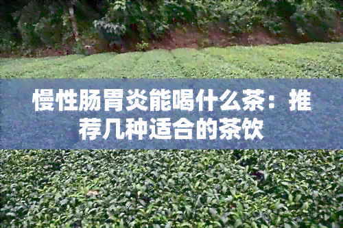 慢性肠胃炎能喝什么茶：推荐几种适合的茶饮