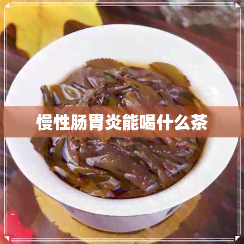 慢性肠胃炎能喝什么茶