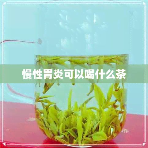 慢性胃炎可以喝什么茶