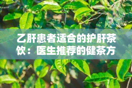 乙肝患者适合的护肝茶饮：医生推荐的健茶方